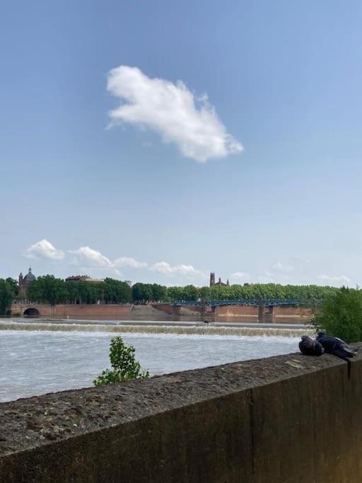 Charmant T2 Dans Toulouse Exterior photo